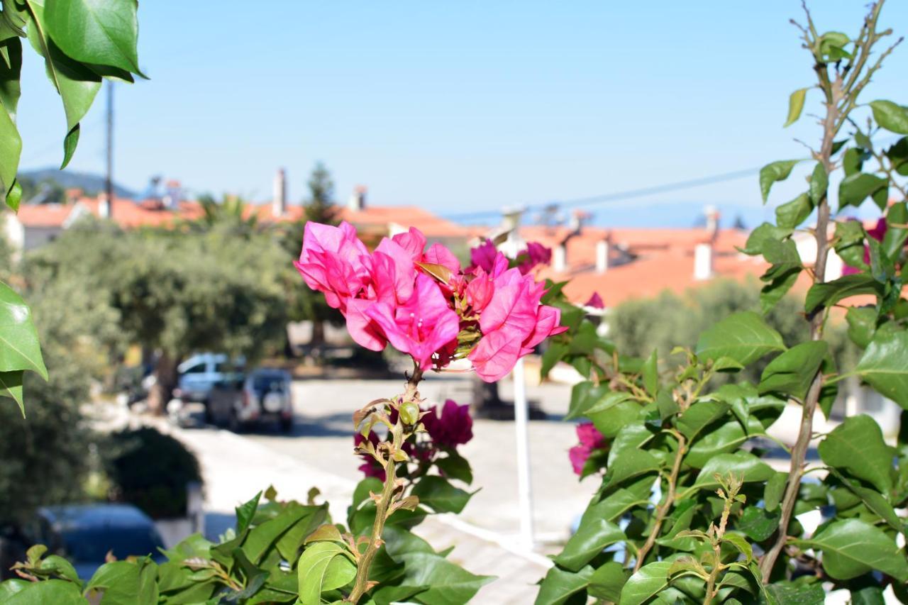 Blue North Luxury Apartment Λιμένας Εξωτερικό φωτογραφία