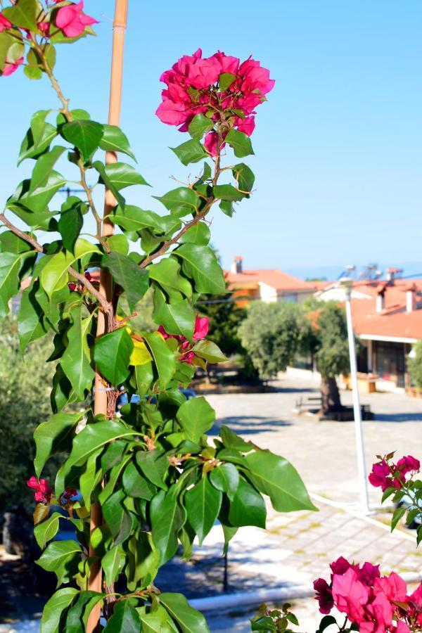 Blue North Luxury Apartment Λιμένας Εξωτερικό φωτογραφία